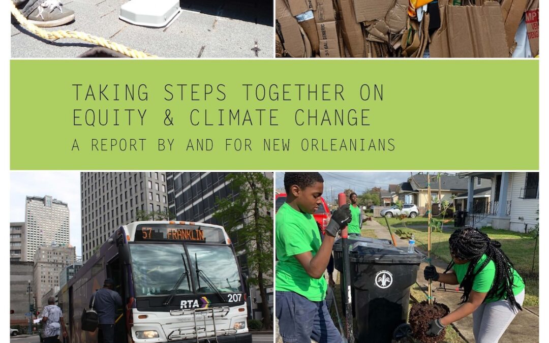 Climate Action Equity Report