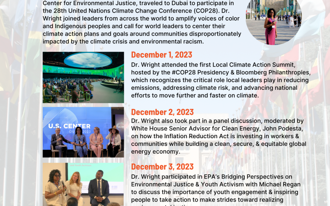 COP28 Newsletter
